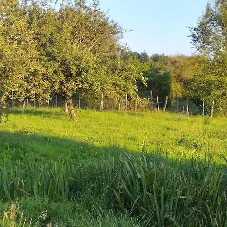 Hébergement de vacances Les Volets Verts, Roussines, Charente, 16310 France