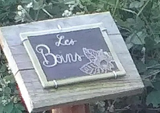 Les Volets Verts, Roussines, Charente, 16310 France Сasa de vacaciones